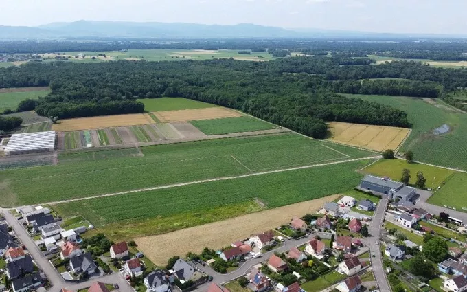 GATTERFLED 1 à Bindernheim (67600)