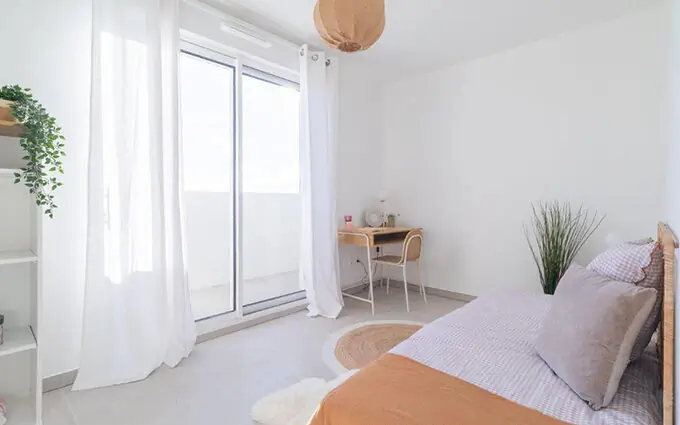 Talauma à Montpellier