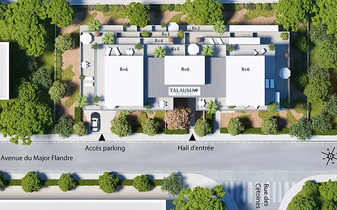 Talauma à Montpellier