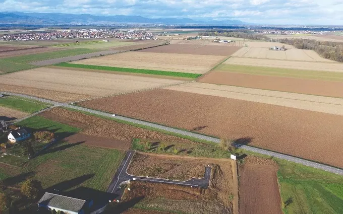 Les Vignes à Niederhergheim (68127)