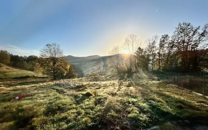 L'eveil à Kaysersberg Vignoble