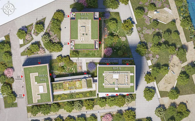 LES ESCALES DU RHIN à Strasbourg