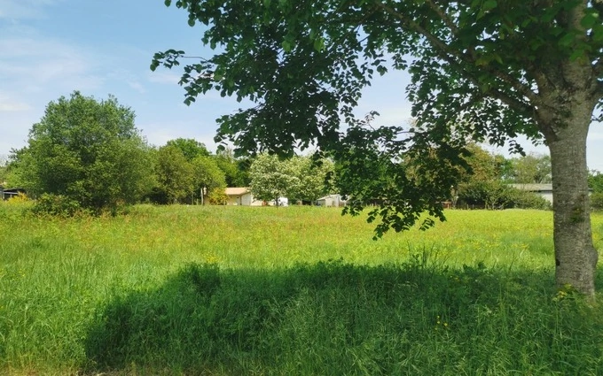 Terrain à bâtir à Bazas à Bazas (33430)
