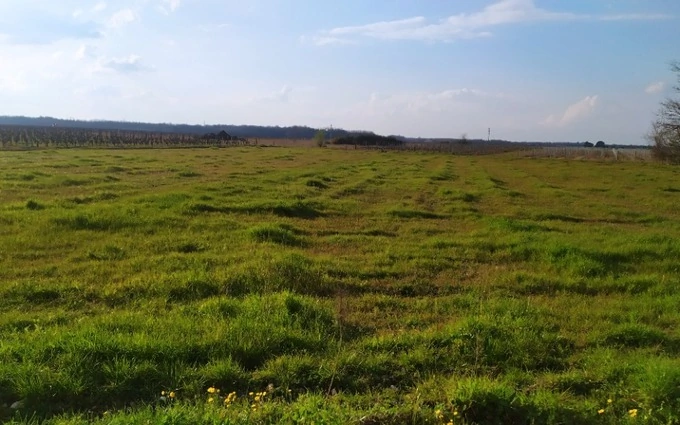 Terrain à bâtir à Cérons à Cérons (33720)