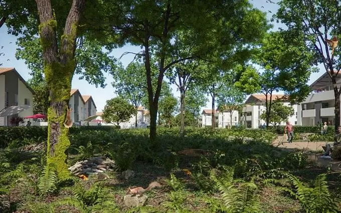 Canopée à Saint-Vincent-de-Tyrosse