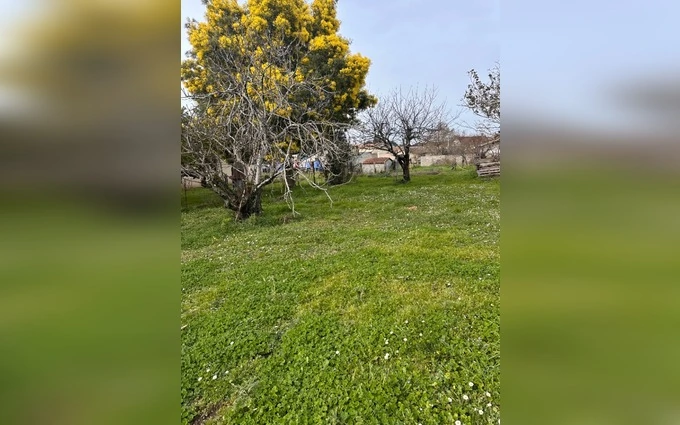 Terrain à bâtir à Saint-Médard-de-Guizières à Saint-Médard-de-Guizières (33230)