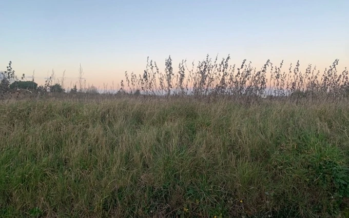 Terrain à bâtir à Virazeil à Virazeil (47200)