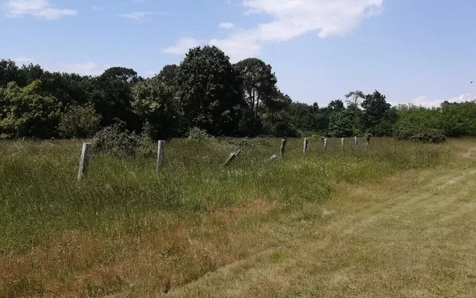 Terrain à bâtir à Margaux à Margaux (33460)