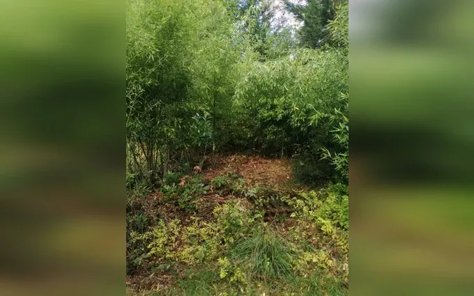 Terrain à bâtir à Le Pian-Médoc à Le Pian-Médoc (33290)
