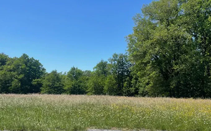 Terrain à bâtir à Boulazac à Boulazac (24330)