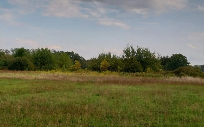 Terrain à bâtir à La Lande-de-Fronsac à La Lande-de-Fronsac (33240)