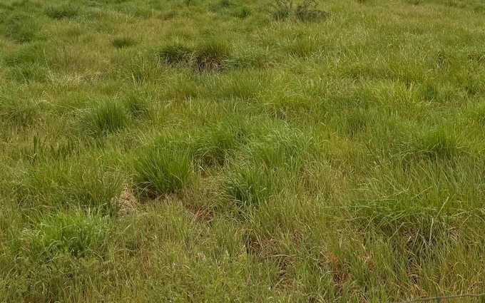 Terrain à partir de 510m² à Gradignan à Gradignan