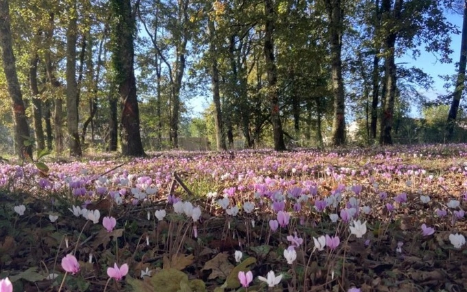Terrain à bâtir à Listrac-Médoc à Listrac-Médoc (33480)