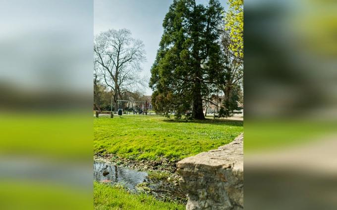 LA COUR DES LYS à La Verpillière