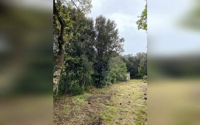 Terrain à partir de 817m² à Saint-Georges-d'Oléron à Saint-Georges-d'Oléron (17190)