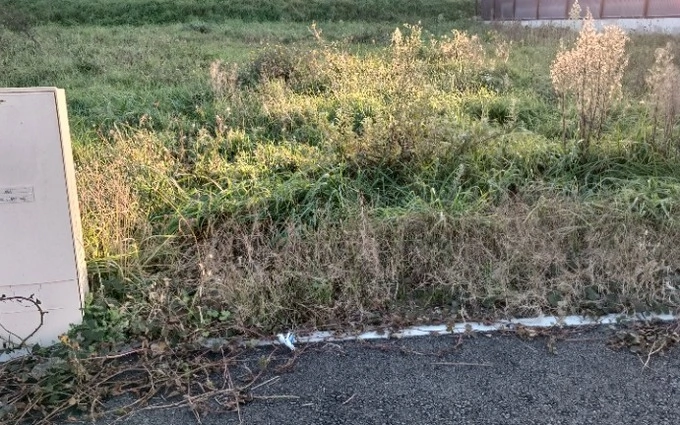 Terrain à partir de 500m² à Prignac-et-Marcamps à Prignac-et-Marcamps (33710)