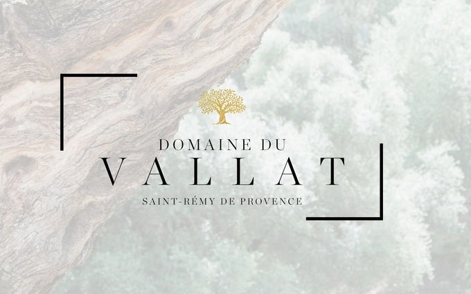 LE DOMAINE DU VALLAT à Saint-Rémy-de-Provence