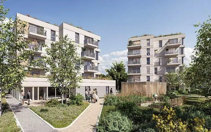 L'akébia à Saint-Jean-de-Braye