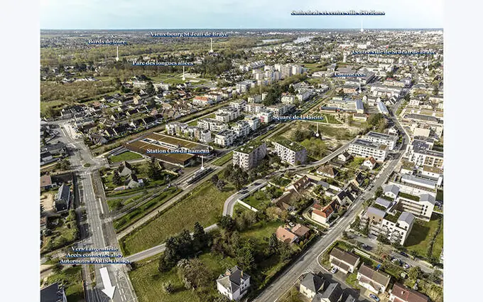 L'akébia à Saint-Jean-de-Braye