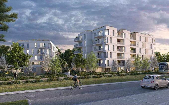 L'Akébia à Saint-Jean-de-Braye (45800)