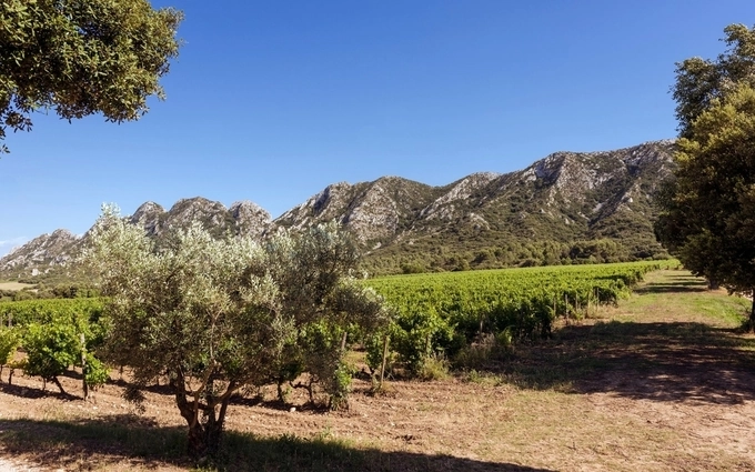 LES VILLAS DOMAINE DE VALLAT à Saint-Rémy-de-Provence