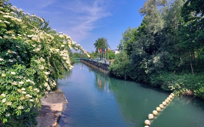JARDIN DES EAUX VIVES à Huningue