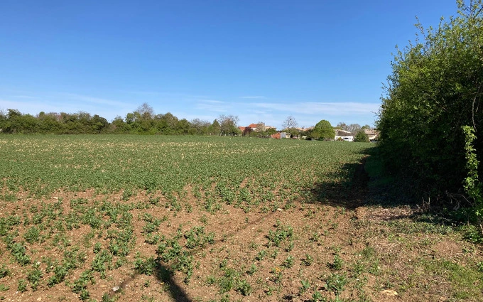 Terrain à partir de 600m² à Champagnolles à Champagnolles (17240)