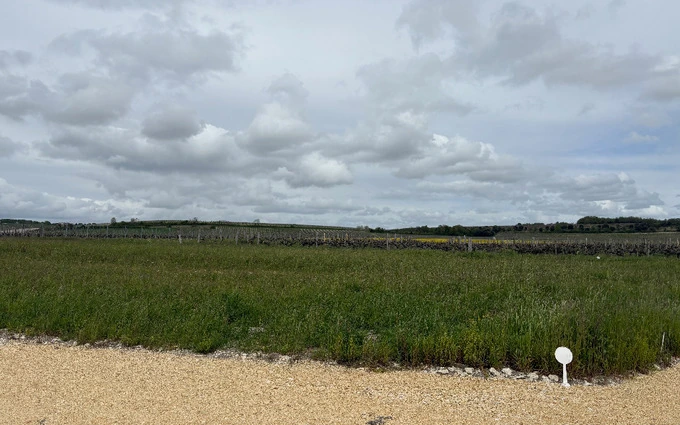 Terrain à partir de 810m² à Pons à Pons (17800)