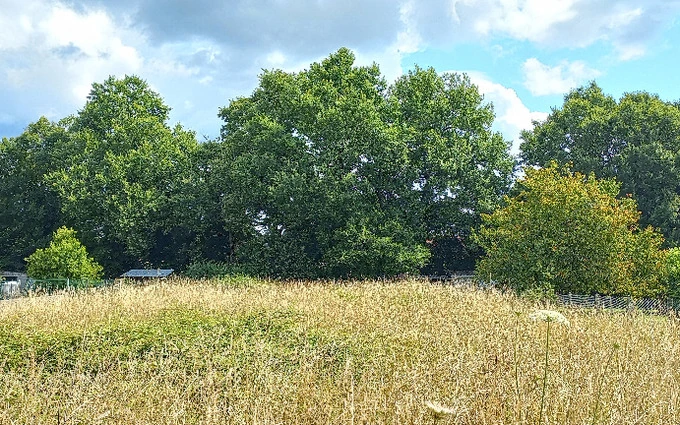 Terrain à partir de 1162m² à Saint-Louis-en-l'Isle à Saint-Louis-en-l'Isle (24400)