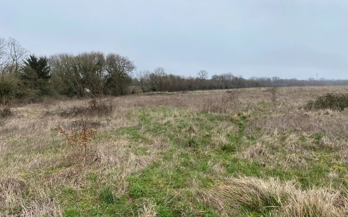 Terrain à partir de 404m² à Pont-l'Abbé-d'Arnoult à Pont-l'Abbé-d'Arnoult (17250)