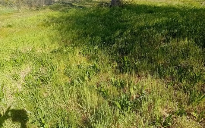 Terrain à partir de 930m² à Arcachon à Arcachon (33120)