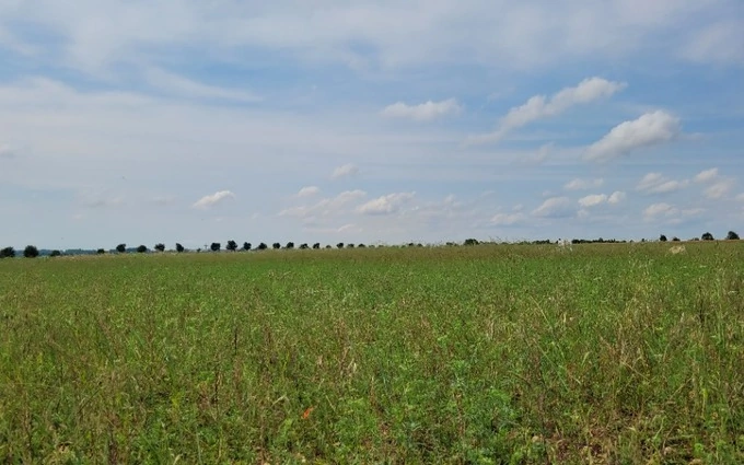 Terrain à partir de 455m² à Andilly à Andilly (17230)