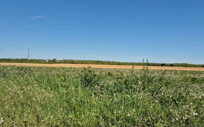 Terrain à partir de 283m² à Ballon à Ballon