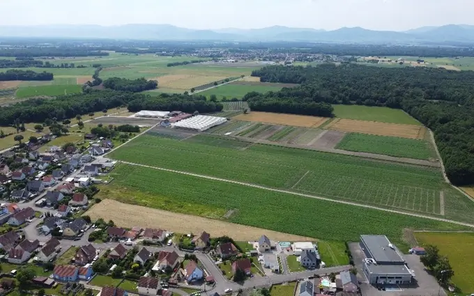Gatterfled 2 à Bindernheim