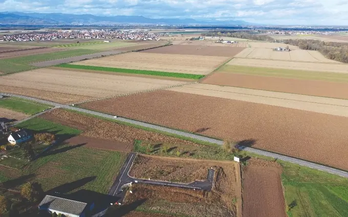 Les Vignes à Niederhergheim