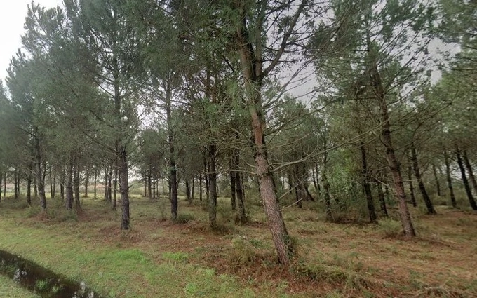 Terrain à partir de 560m² à Andernos-les-Bains à Andernos-les-Bains (33510)