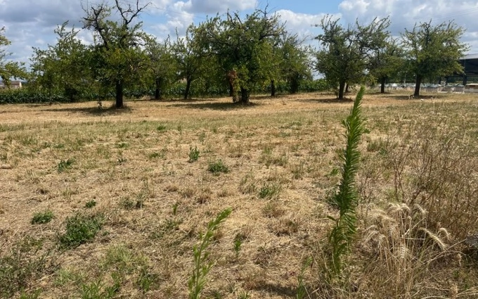 Terrain à partir de 620m² à Lévignac-de-Guyenne à Lévignac-de-Guyenne (47120)