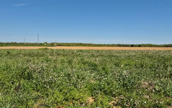 Terrain à partir de 415m² à Aigrefeuille-d'Aunis à Aigrefeuille-d'Aunis (17290)