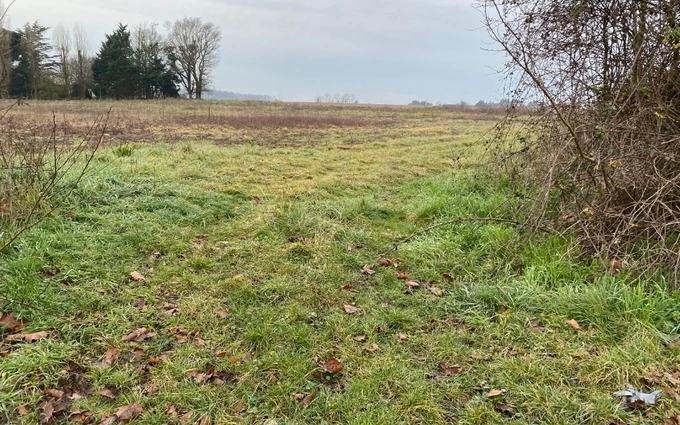 Terrain à partir de 326m² à Saint-Hippolyte à Saint-Hippolyte (17430)