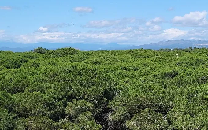 Le Bahia à Le Barcarès
