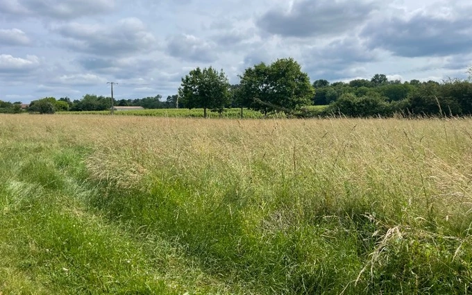 Terrain à partir de 490m² à Langon à Langon (33210)