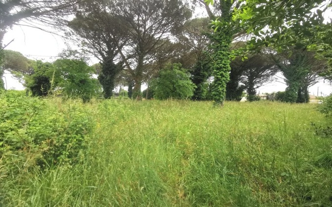 Terrain à partir de 630m² à Saint-Maixant à Saint-Maixant (33490)
