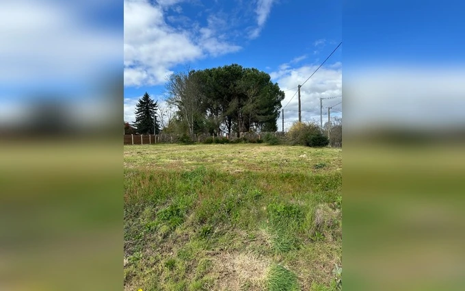 Terrain à partir de 1048m² à Saint-Martin-du-Bois à Saint-Martin-du-Bois (33910)