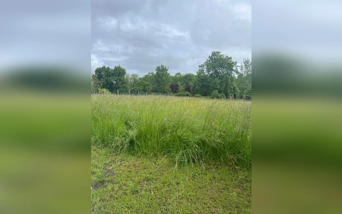 Terrain à partir de 782m² à Campugnan à Campugnan