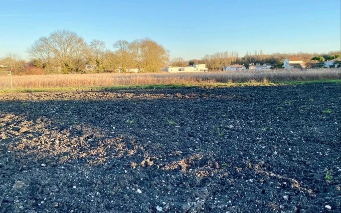 Terrain à partir de 325m² à Médis à Médis (17600)