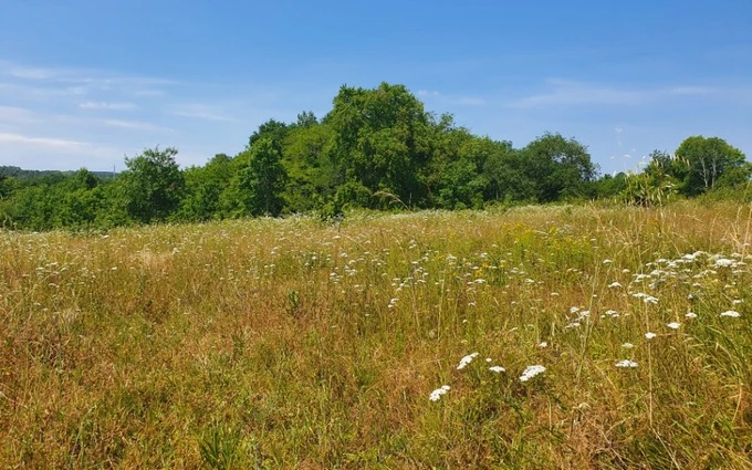 Terrain à partir de 835m² à Cubnezais à Cubnezais (33620)
