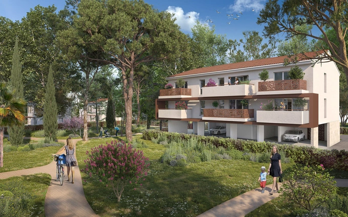 Canopée à Avignon