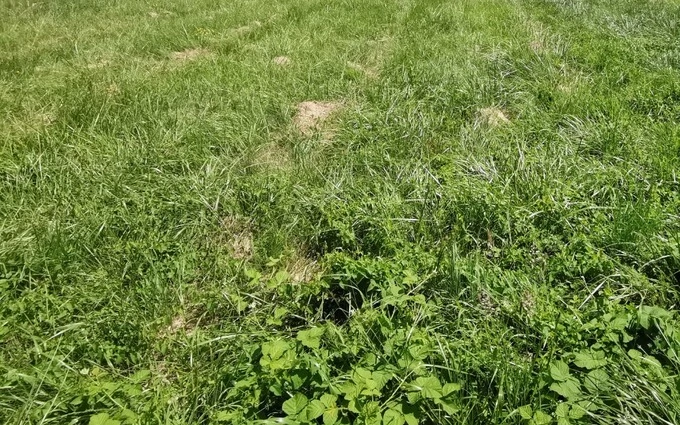 Terrain à partir de 2769m² à Atur à Atur (24750)