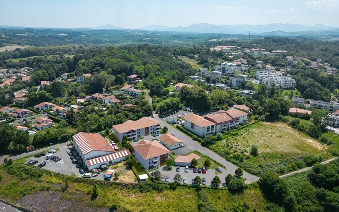 Anderenia à Saint-Jean-de-Luz