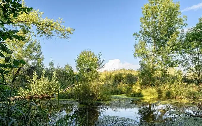 Le moulin d'erno à Ernolsheim-Bruche (67120)